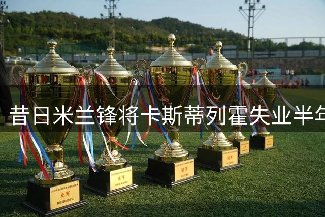 昔日米兰锋将卡斯蒂列霍失业半年 31岁仍坚持训练寻找下家