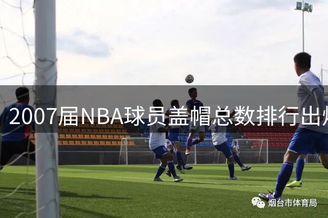 2007届NBA球员盖帽总数排行出炉，霍福德领衔
